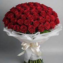 Букет 101 Красная роза Блэк Мэджик в Ерофее Павловиче