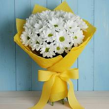Букет цветов из:  Хризантемы в Ерофее Павловиче