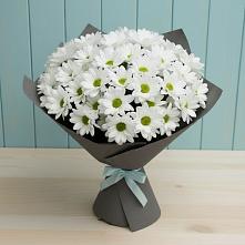 Букет цветов из:  Хризантемы #REPLACE_PRED# Ерофее Павловиче