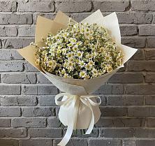Букет цветов из:  Ромашки в Ерофее Павловиче
