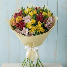 Букет цветов из:  Альстромерии в Ерофее Павловиче
