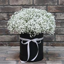 Цветочная композиция из Гипсофила в шляпной коробке в Ерофее Павловиче