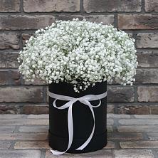 Цветочная композиция из Гипсофила в шляпной коробке в Ерофее Павловиче