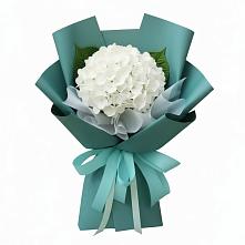 Букет цветов из:  Гортензия в Ерофее Павловиче